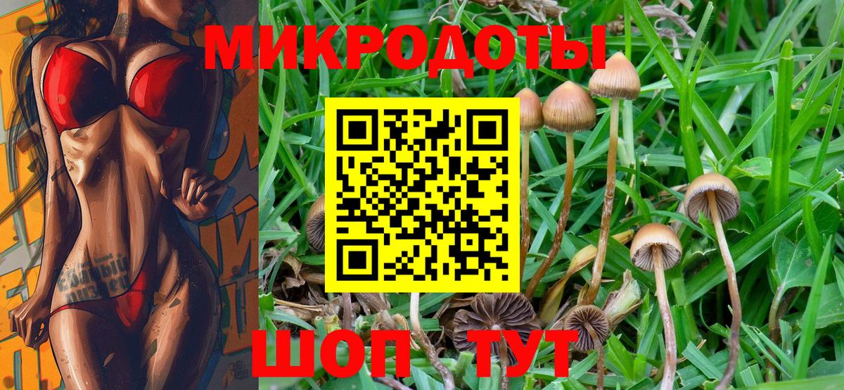 Псилоцибиновые грибы MAGIC MUSHROOMS Пенза