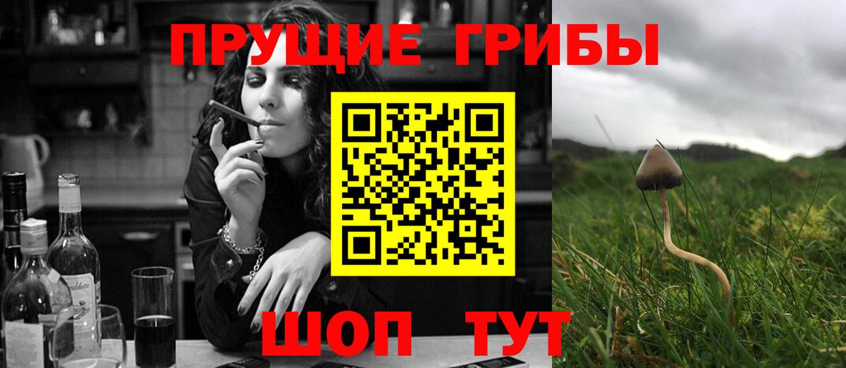 Пенза  Псилоцибиновые грибы Psilocybine cubensis  Вход с VPN  Галлюциногенные грибы Cubensis 